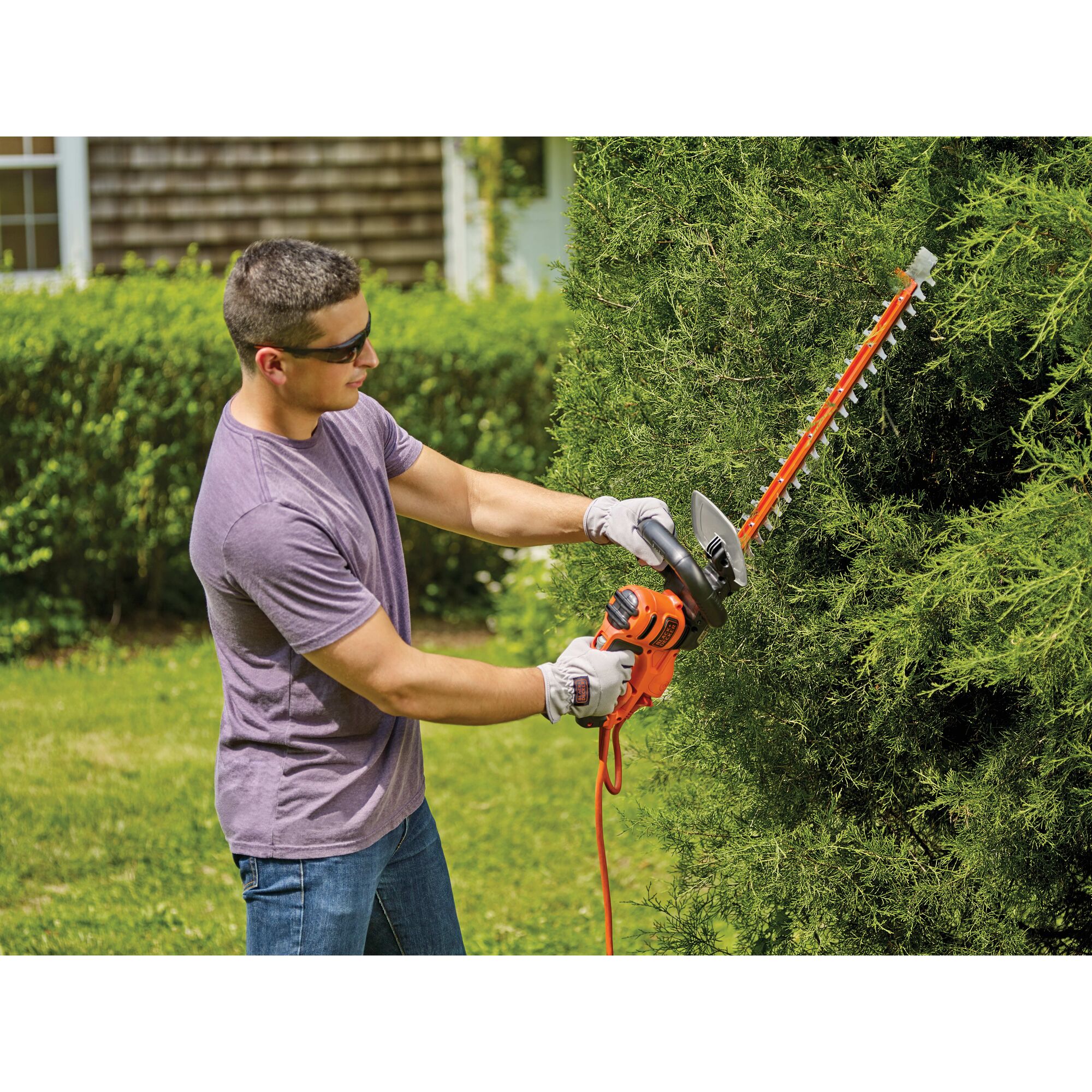 Black and decker 20 deals inch hedge trimmer