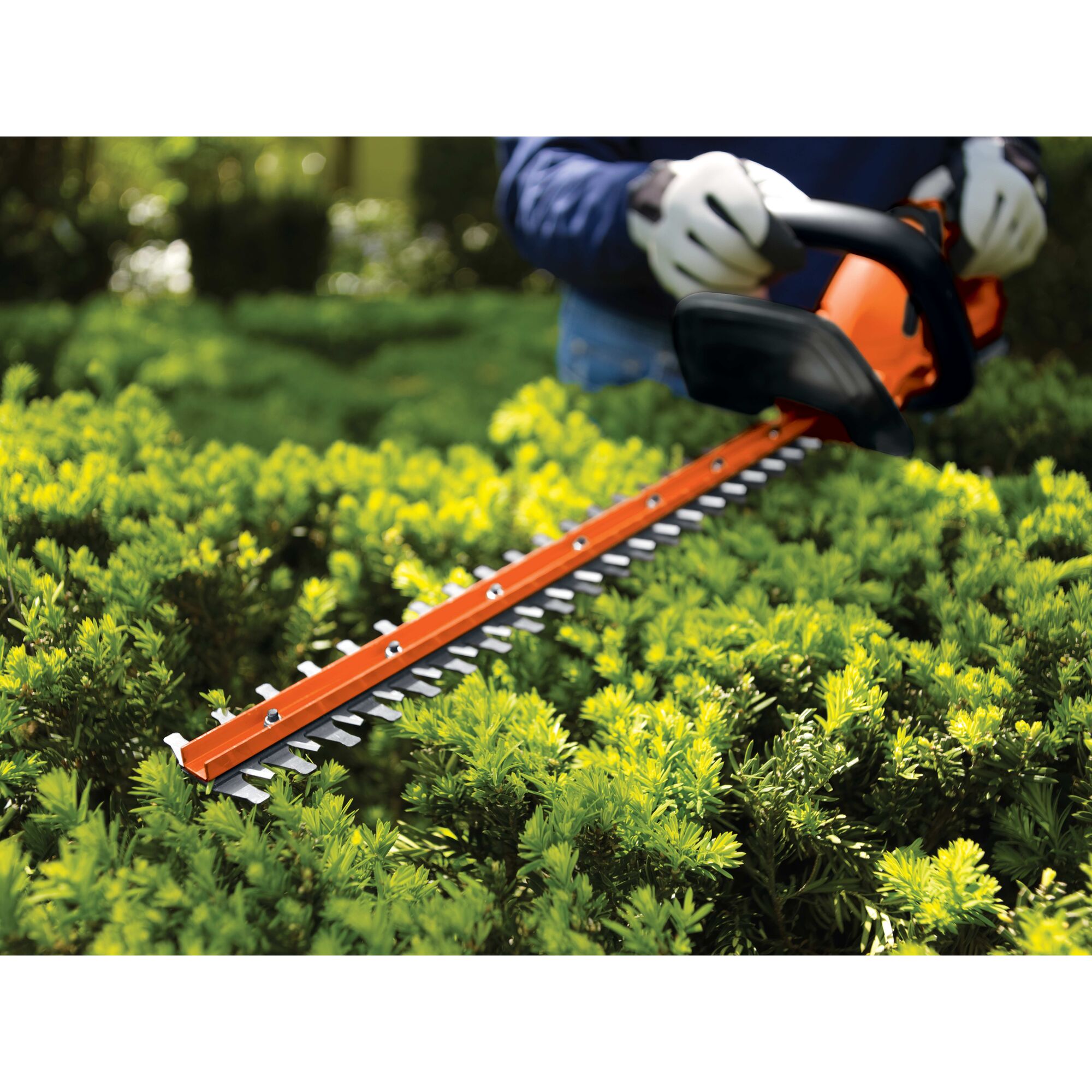 20V MAX 22 in. Hedge Trimmer BLACK DECKER