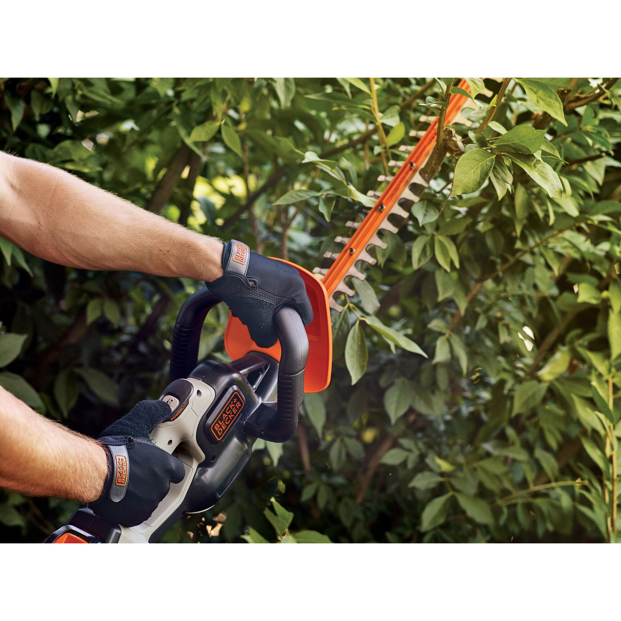 60v hedge store trimmer